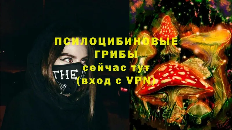 Галлюциногенные грибы Magic Shrooms  Ряжск 